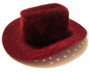 Cowboyhatt